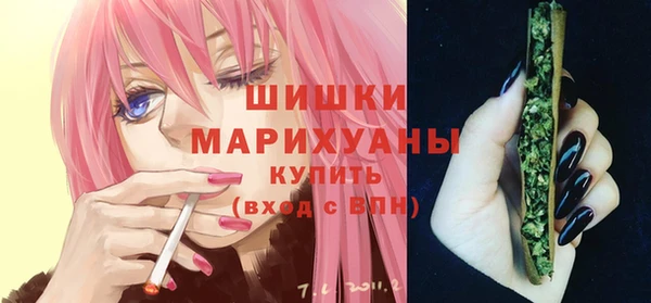 круглые Тайга