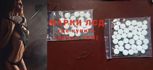 гидра Богородицк