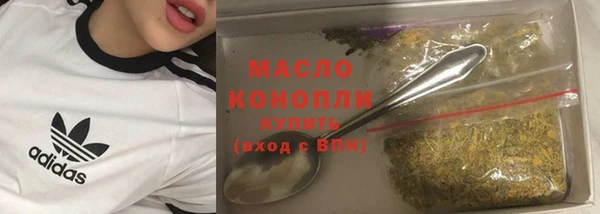 гидра Богородицк