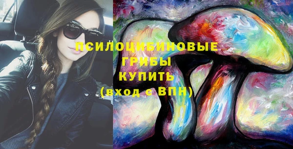 гидра Богородицк
