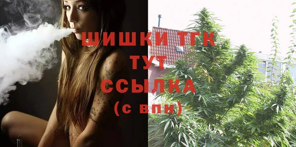 дживик Богданович