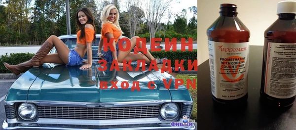 гидра Богородицк
