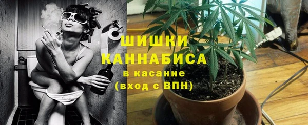 гидра Богородицк