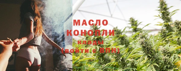 гидра Богородицк