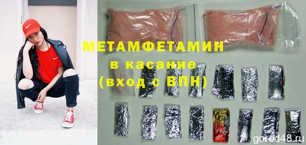 гидра Богородицк