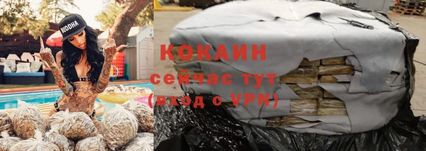 PSILOCYBIN Богородск
