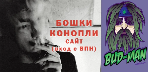 гидра Богородицк
