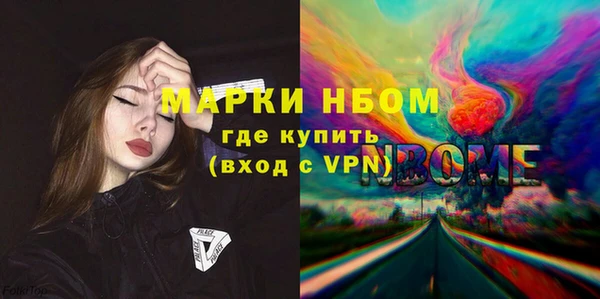 гидра Богородицк