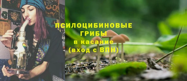 дживик Богданович